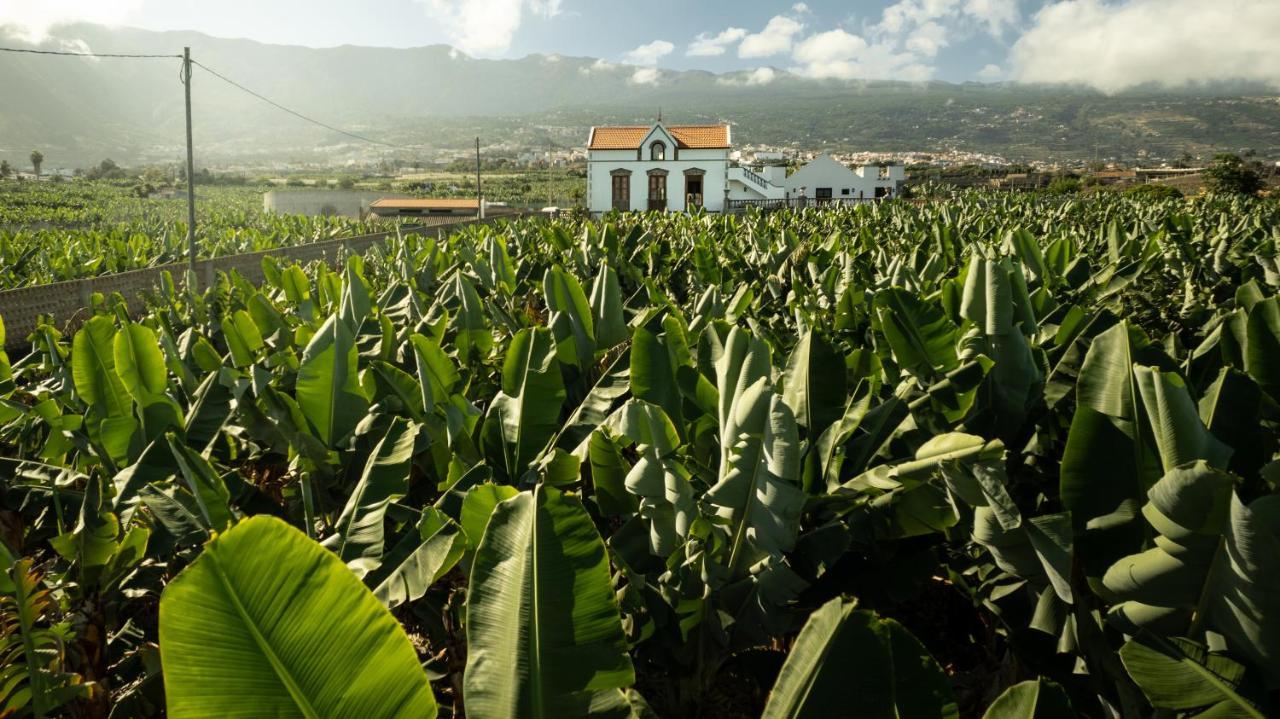 Hacienda Los Orovales Puerto de la Cruz  Ngoại thất bức ảnh