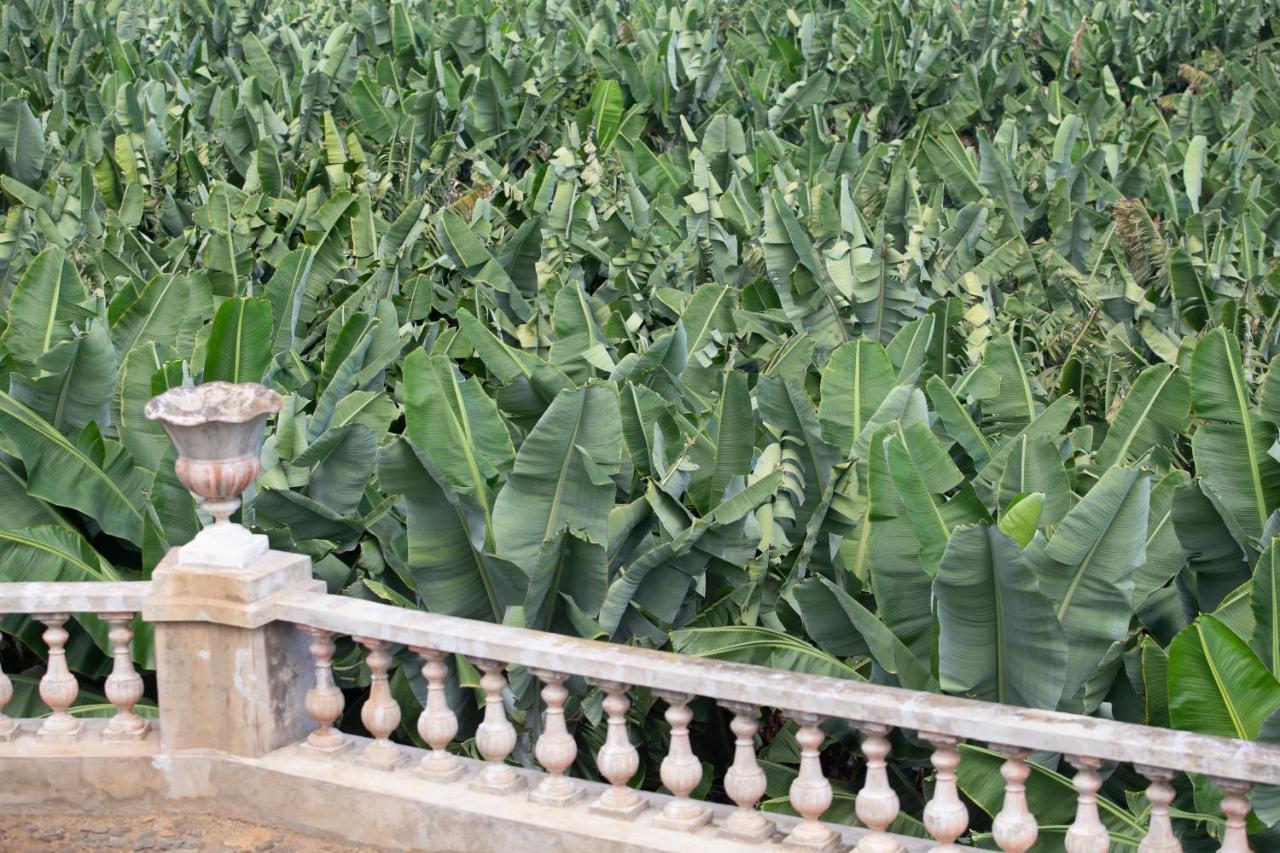 Hacienda Los Orovales Puerto de la Cruz  Ngoại thất bức ảnh
