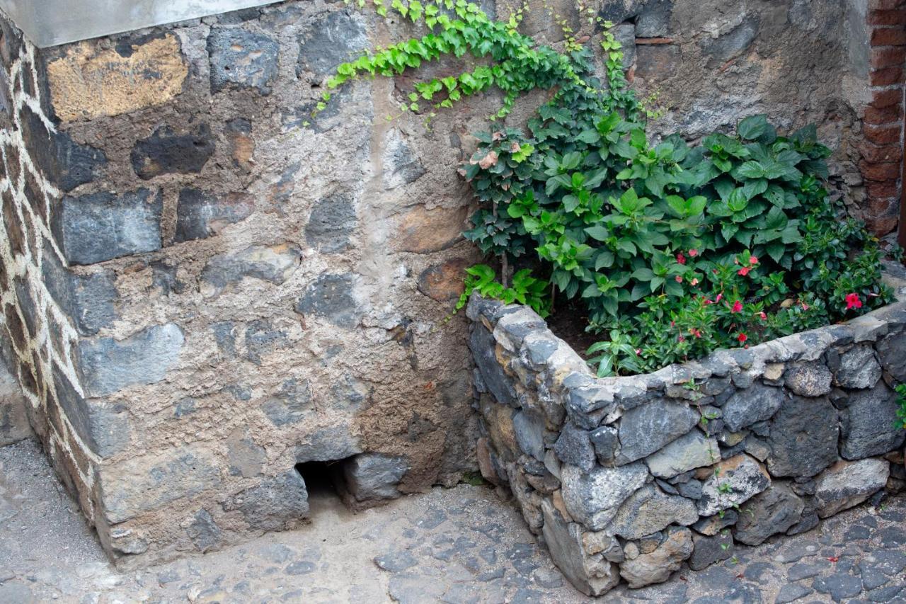 Hacienda Los Orovales Puerto de la Cruz  Ngoại thất bức ảnh
